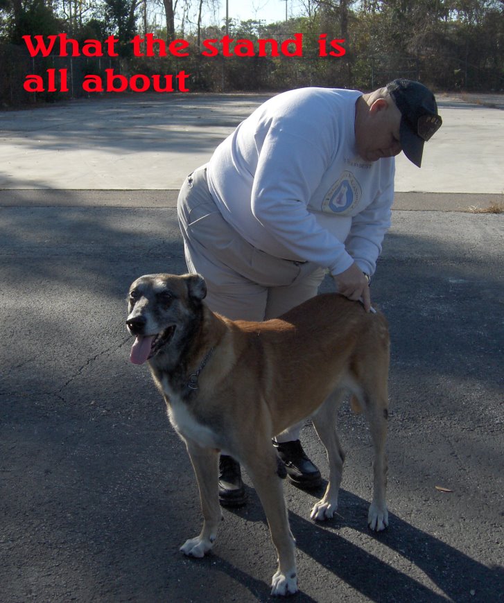 Scheurman's K9 Academy Dog Training Jacksonville Florida